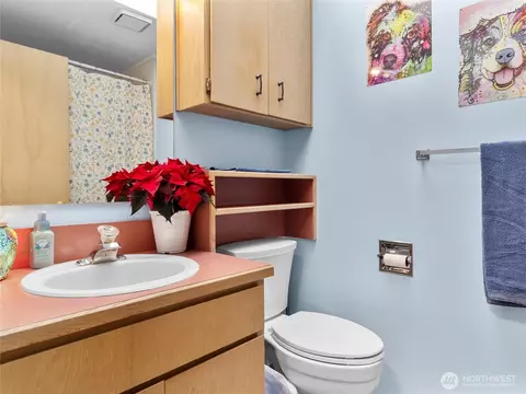 302 1st Ave E, Pacific, WA 98047 photo 24