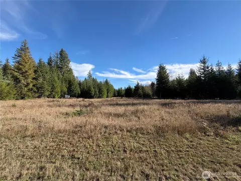 138 Shelton Rd, Randle, WA 98377