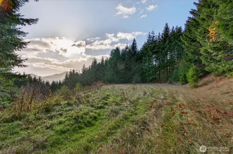 0 Knightsbridge Rd, Amboy, WA 98603