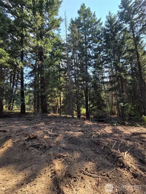 4 Double O Rd, Ronald, WA 98940