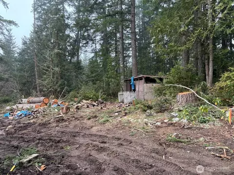 Exterior - 311 E Murray Rd, Grapeview, WA 98546 photo 5 of 6