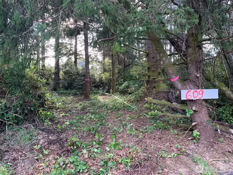 609 Weatherwax Loop, Ocean Shores, WA 98569