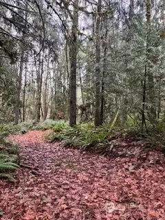 0 Glenwood Rd SW, Port Orchard, WA 98366