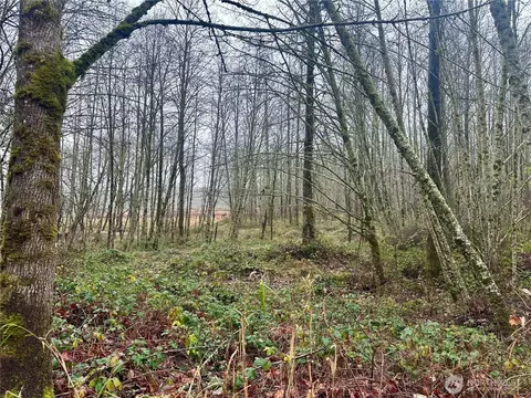 1230 Silverbrook Rd, White Pass, WA 98937