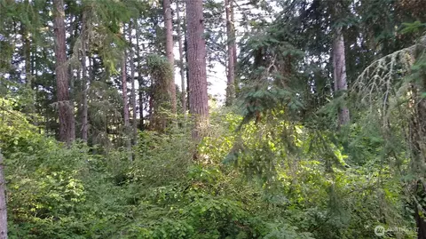 12106 Sound Dr, Anderson Island, WA 98303