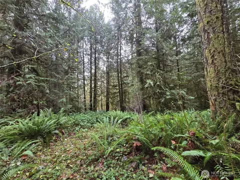 245 Cousins Rd, Chehalis, WA 98532