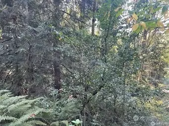 0 Melcher St, Port Orchard, WA 98366