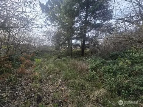 570 NE Puffin Ave, Ocean Shores, WA 98569