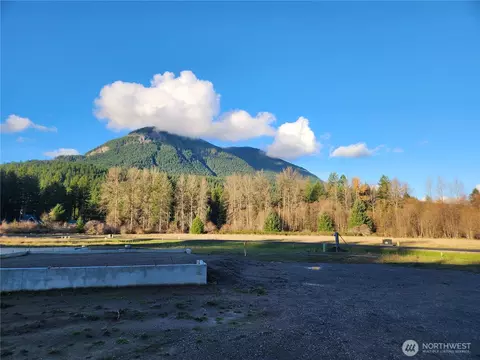 111 Campfire Ln, Packwood, WA 98361