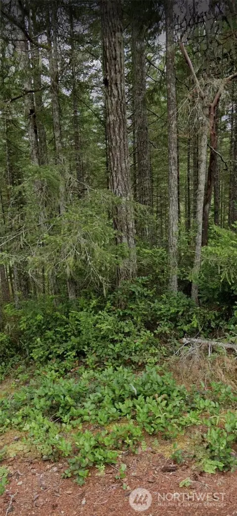 1221 NE Collins Lake Dr, Tahuya, WA 98588