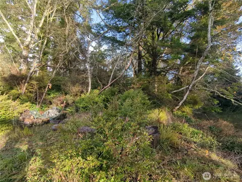 0 247th, Ocean Park, WA 98640