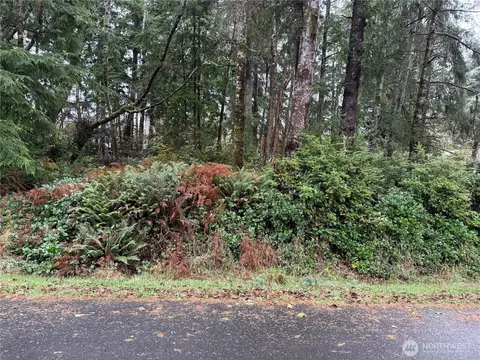 664 Chenois Ave NE, Ocean Shores, WA 98569