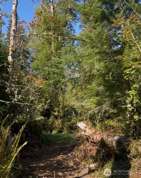 0 Cascade Ln, Eatonville, WA 98328