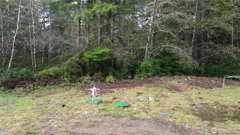36815 Stackpole Rd, Oysterville, WA 98641 photo 7