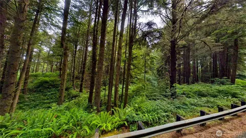 0 Roosevelt Bch, Pacific Beach, WA 98571