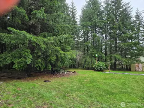 313 Minkler Rd, Winlock, WA 98596 photo 29