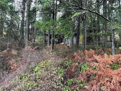 3521 Deer Harbor Rd, Orcas Island, WA 98245 photo 14