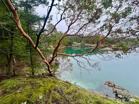 3521 Deer Harbor Rd, Orcas Island, WA 98245