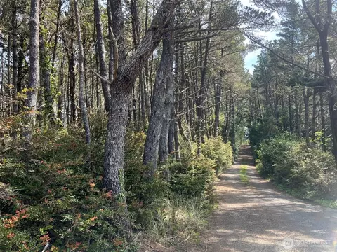 1101 E Lot E 231st Ln, Ocean Park, WA 98640