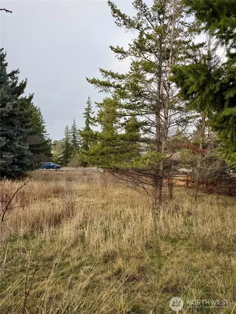 0 Morrison Canyon Ln, Cle Elum, WA 98922