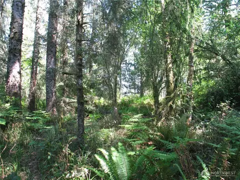 38385 Stackpole Rd, Oysterville, WA 98641 photo 7