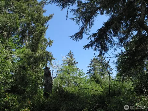 38385 Stackpole Rd, Oysterville, WA 98641 photo 11
