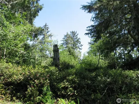 38385 Stackpole Rd, Oysterville, WA 98641 photo 4