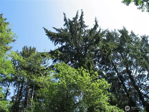 38385 Stackpole Rd, Oysterville, WA 98641 photo 10