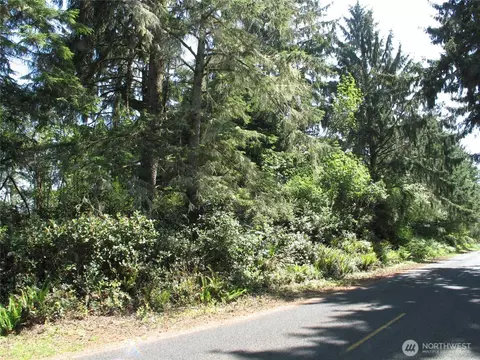 38385 Stackpole Rd, Oysterville, WA 98641