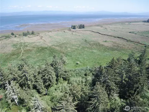 38385 Stackpole Rd, Oysterville, WA 98641 photo 13