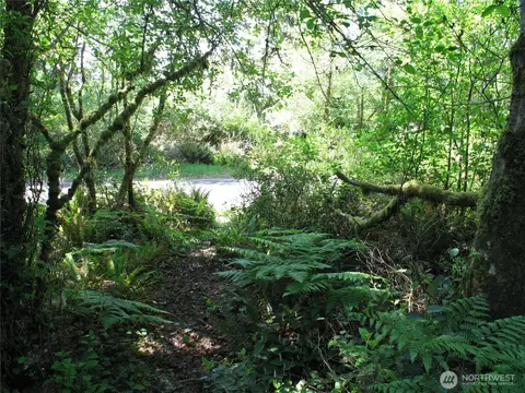 38385 Stackpole Rd, Oysterville, WA 98641 photo 8