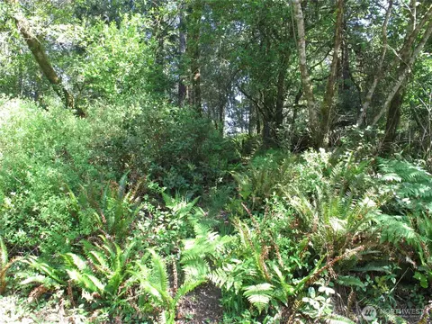 38385 Stackpole Rd, Oysterville, WA 98641 photo 6