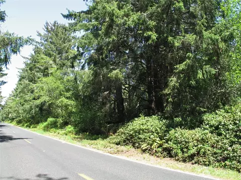 38385 Stackpole Rd, Oysterville, WA 98641 photo 9