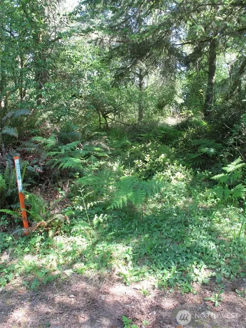 38385 Stackpole Rd, Oysterville, WA 98641 photo 3