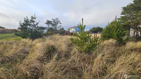 505 347th Pl, Ocean Park, WA 98640