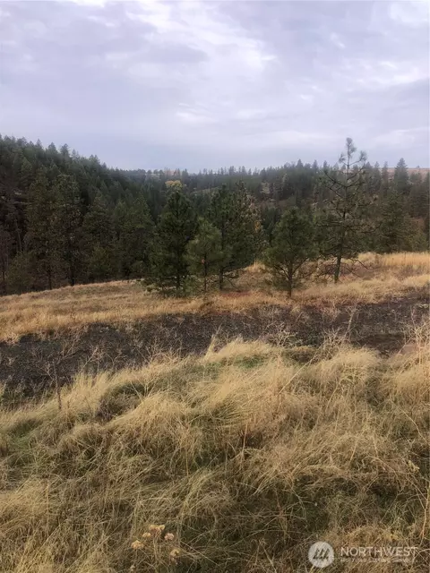 30991 Pine Hen Ln E, Davenport, WA 99122