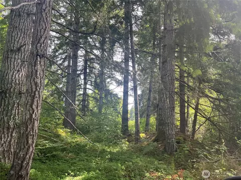 2230 W Beverly Blvd, Shelton, WA 98584