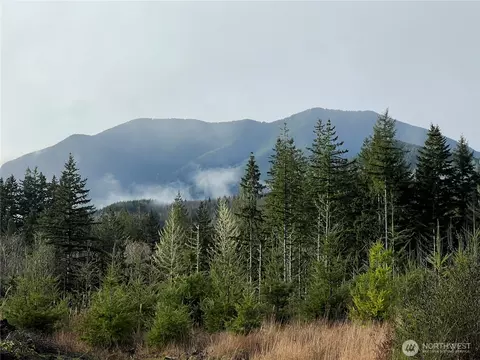 3 Nnn Snow Creek Rd, Quilcene, WA 98376