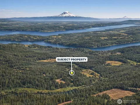 100 E Leffler Ln, Grapeview, WA 98546 photo 8