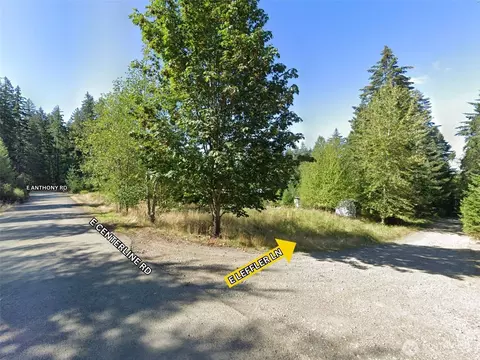 100 E Leffler Ln, Grapeview, WA 98546 photo 12