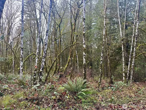 221 SE Lagoon Ln, Shelton, WA 98584
