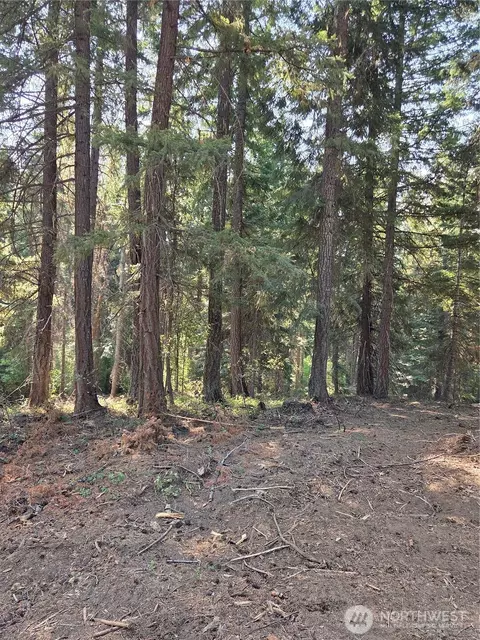 7 Double O Rd, Ronald, WA 98940