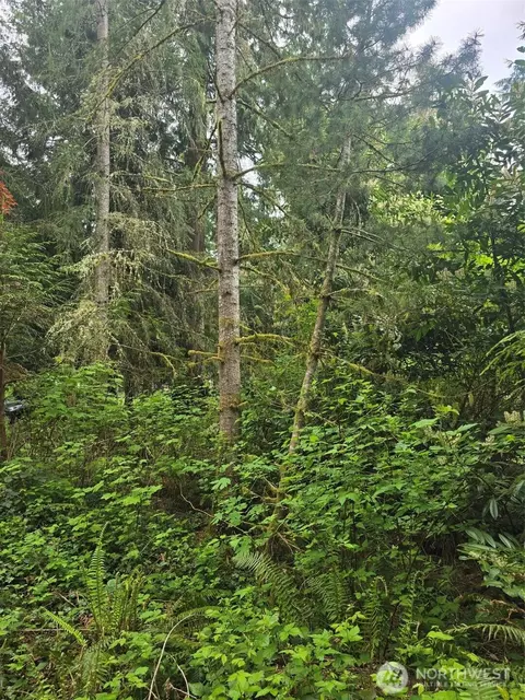 41 E Isabella, Belfair, WA 98528