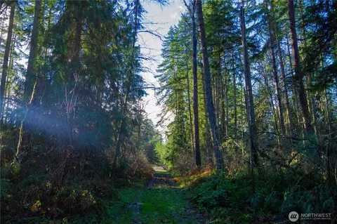 0 Nka Atterberry Rd, Sequim, WA 98382 photo 5