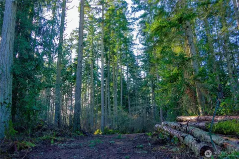 0 Nka Atterberry Rd, Sequim, WA 98382 photo 18