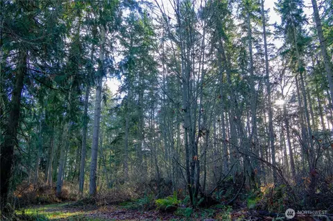 0 Nka Atterberry Rd, Sequim, WA 98382 photo 19