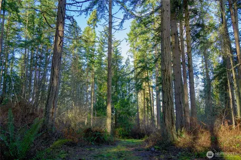 0 Nka Atterberry Rd, Sequim, WA 98382 photo 17