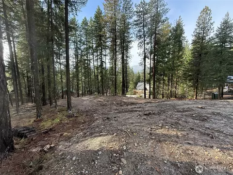 22124 Appaloosa Ln, Leavenworth, WA 98826