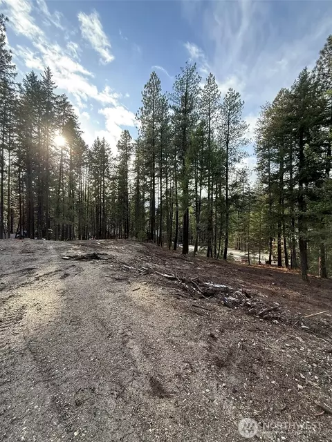 22125 Appaloosa Ln, Leavenworth, WA 98826