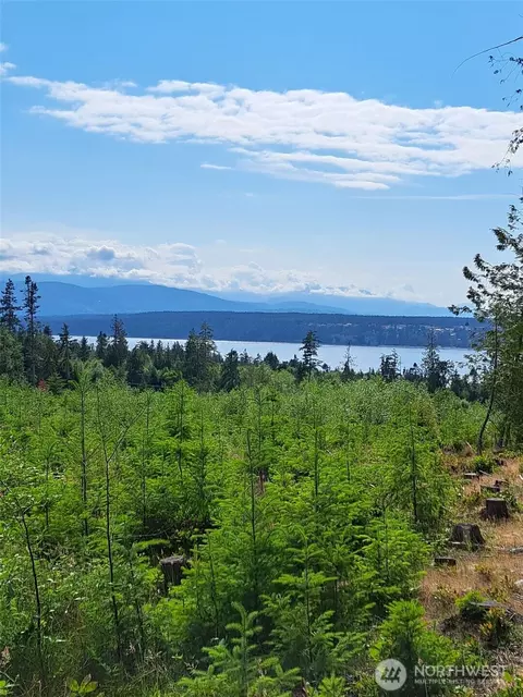 9999 Protection Ridge Rd, Port Townsend, WA 98368